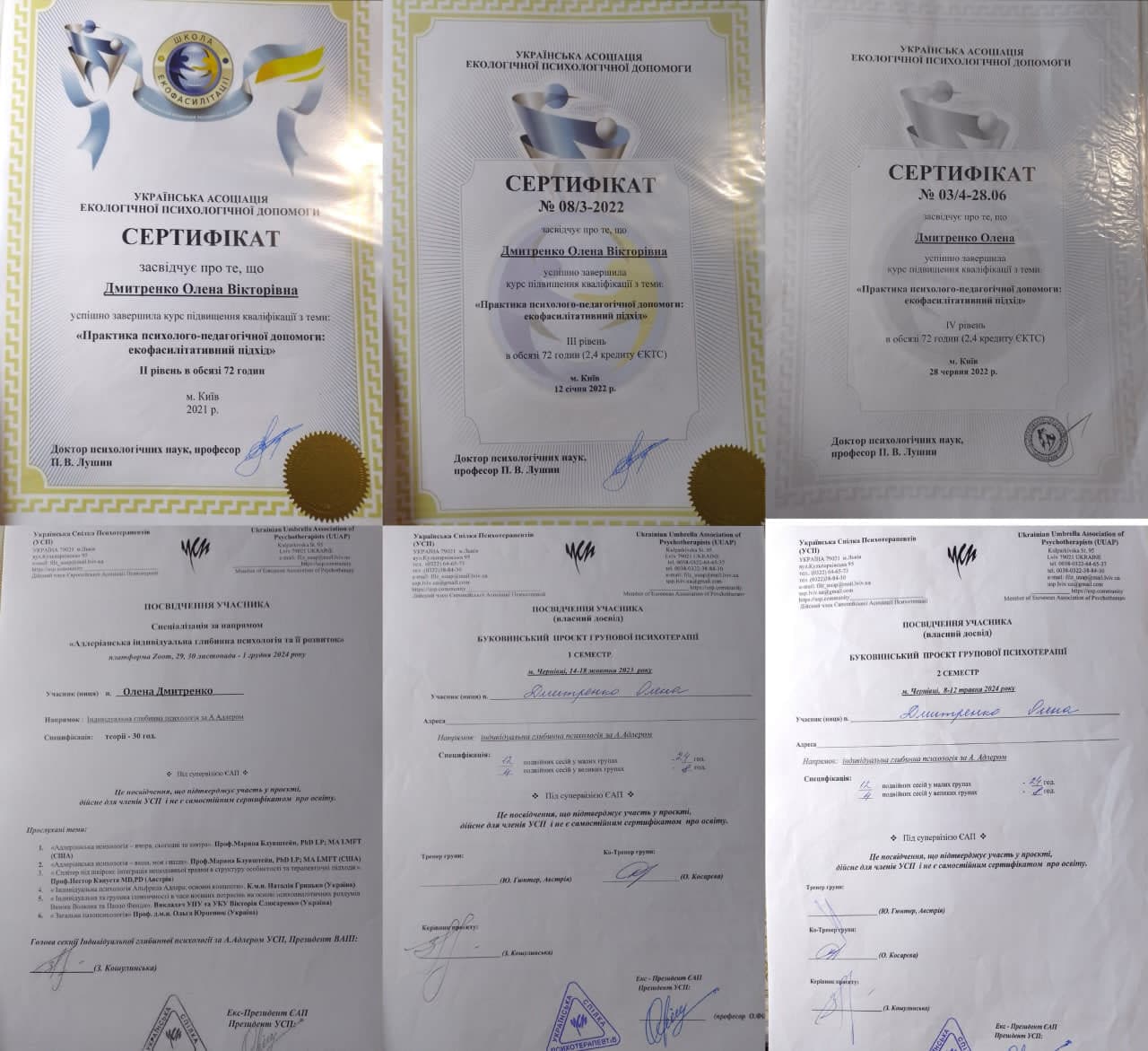 Сертифікат Дмитренко Олена з Психолог, Психосоматолог, Психолог для підлітків 1